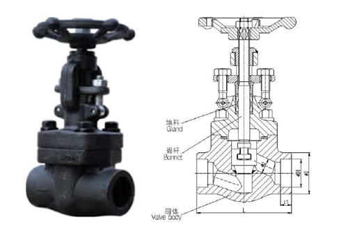 Forged Steel Globe Valve - J61-16C/25/40/64/100
