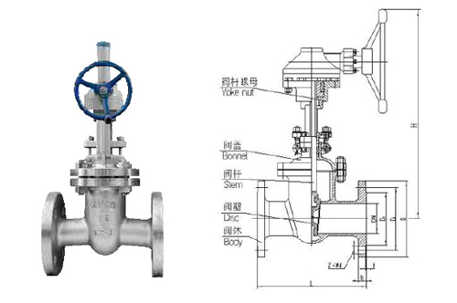 Stainless Steel Bevel Gear Flange Gate Valve - Z541W-16P/25P