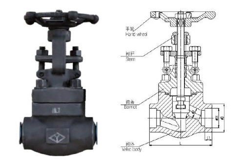 Forged Steel Gate Valve - 150-800pound