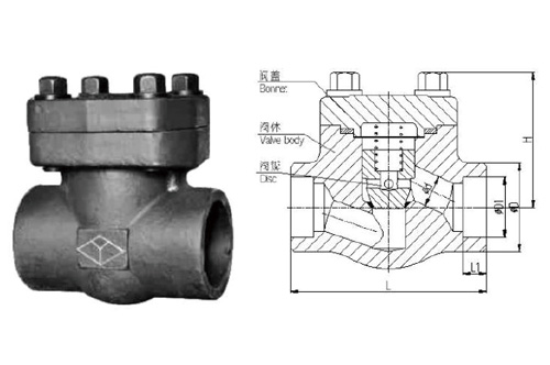 Forged Steel Check Valve - 150-800pound