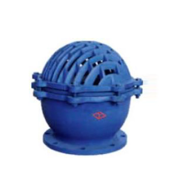 Swing Double Disc Bottom Valve