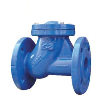 Orbit Ball Check Valve