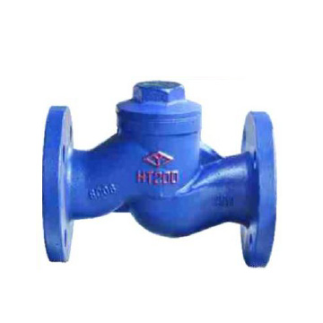 Lifting Check Valve