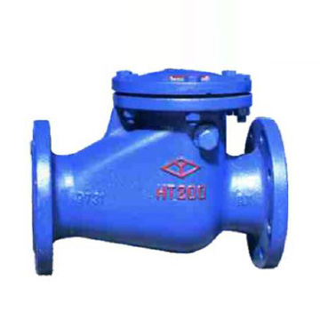 Swing Check Valve
