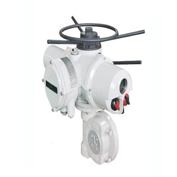 Adjustable intelligent electrical actuator - rotary